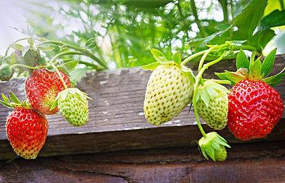 低至一五折！KRAFTON首次参与Steam发行商特卖活动